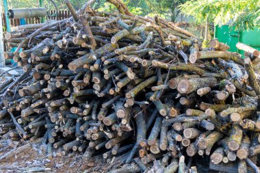 Doğal ahşap dokusunu ve ısınma hazırlıklarını gösteren taze kesilmiş odun yığınları..