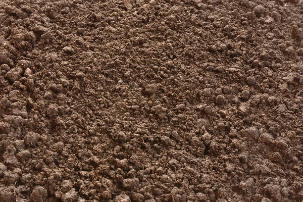 A talaj textúra háttér — Stock Fotó