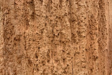 çürümüş ahşap arka plan