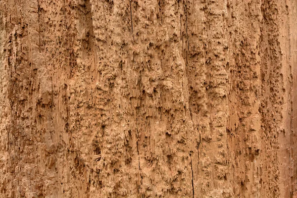 腐った木の背景 — ストック写真