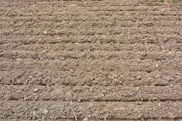 dikim sürülmüş arazi