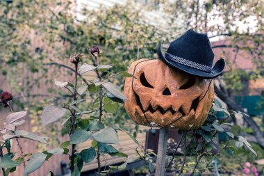 Kovboy şapkalı bir Cadılar Bayramı balkabağı. Bahçedeki korkuluk korkutup kaçırmak için..