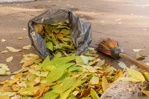 Autumn Yellow Leaves Cleaning Street Areas Fallen Leaves Trees Swept — Stock Photo, Image