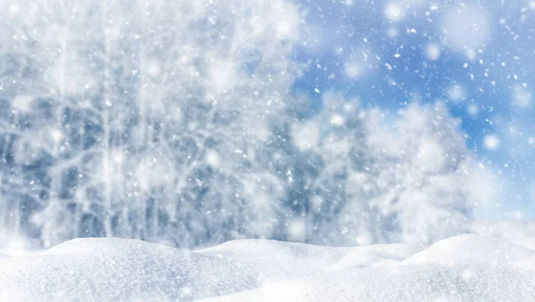 森林里的雪地是以冬季的风景为背景的 白桦树上覆盖着霜雪 大自然的美丽 降雪概念 — 图库照片