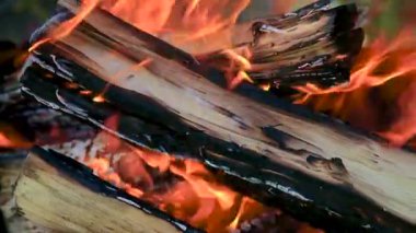 Açık havada huş ağacını yakmaktan ateş. Yakıcı ateşe ve kömürleşmiş oduna yakın çekim