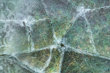 Şeffaf buz tabakasının altındaki yeşil çimenler. Keskin don kavramı. Mevsimler. 