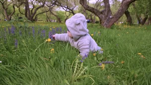 Małe Dziecko Czołga Się Zielonej Trawie Kwiatami Parku Odpoczynek Dziećmi — Wideo stockowe