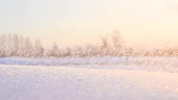 夕日に照らされた秋の雪 吹雪の概念 地平線の冬の風景 スローモーション — ストック動画