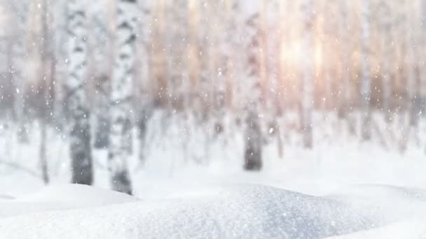 Πέφτει Φρέσκο Χιόνι Ένα Θολό Φόντο Παγωμένου Δάσους Snowdrifts Και — Αρχείο Βίντεο