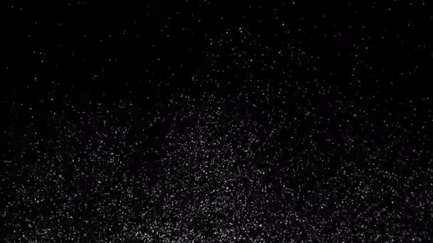 Fast Falling White Snow Small Abstract Flakes Black Background Dynamic — Stock Video