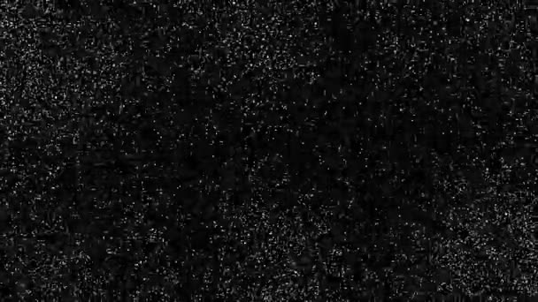 Быстрый Падающий Белый Снег Небольшие Абстрактные Хлопья Черном Фоне Динамические — стоковое видео