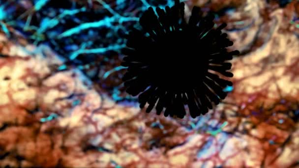 Modello Coronavirus Nero Vortici Influenzali Uno Sfondo Colorato Tessuti Organici — Video Stock