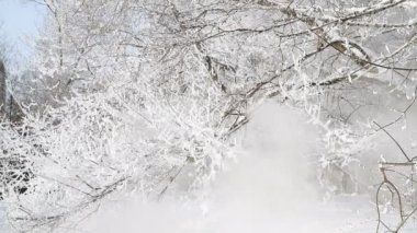 Sıcak buhar veya duman karla kaplı ağaçlara doğru yöneltilir. Ani ısınma ya da ekolojik kaza kavramı. Kuşlar buzla kaplı dallarda otururlar.