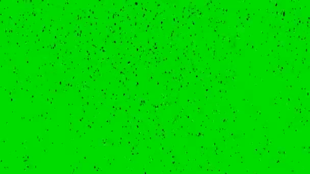 Pył Brud Lub Mikroorganizmy Zielonym Tle Cząstki Czarne Poruszają Się — Wideo stockowe