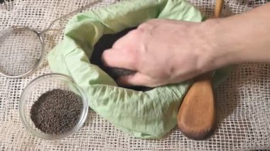 Çiftçi lahana tohumu topluyor. Çiftçi çantasından lahana tohumlarını topluyor ve geri boşaltıyor. Tohum toplama, depolama ve ekme için hazırlık.