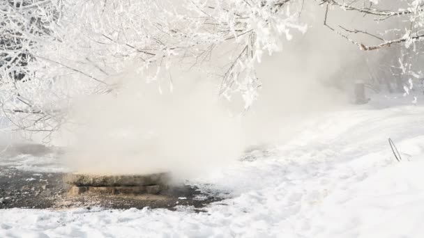 Vapor Alcantarilla Invierno Árboles Cubiertos Nieve Condensación — Vídeos de Stock