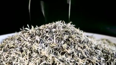 Calendula (Tagtes) çiçek tohumları dökülür ve ekilmeye hazırlanır. Geçmişi. Astrov ailesinin yıllık ve daimi bir cinsi..