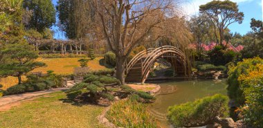 Japanese garden at the Huntington Botanical Garden clipart