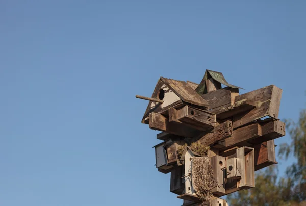 Un grappolo di casette per uccelli — Foto Stock