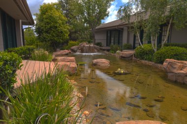 Hayat, koi balık ve bir şelale Güney Kaliforniya'da bir su birikintisi bahar bitki. 