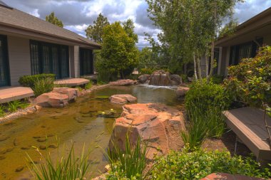 Hayat, koi balık ve bir şelale Güney Kaliforniya'da bir su birikintisi bahar bitki. 