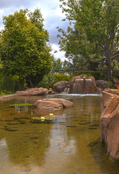 연못에 식물 생명, koi 물고기 및 폭포 — 스톡 사진