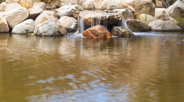 Vie végétale, poissons koï et une chute d'eau dans un étang dans le sud de la Californie au printemps . — Photo