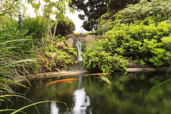 Relaxační, zen jako rybník s vodopádem — Stock fotografie