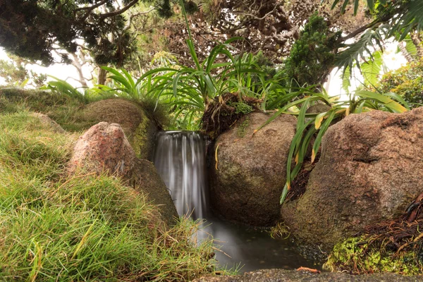 Relaxační, zen jako rybník s vodopádem — Stock fotografie