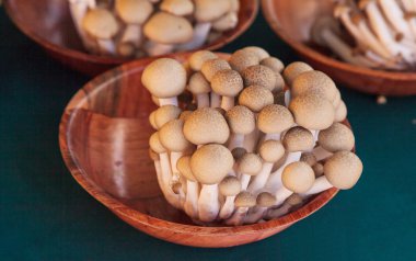 Kahverengi kayın mantar, Buna shimeji