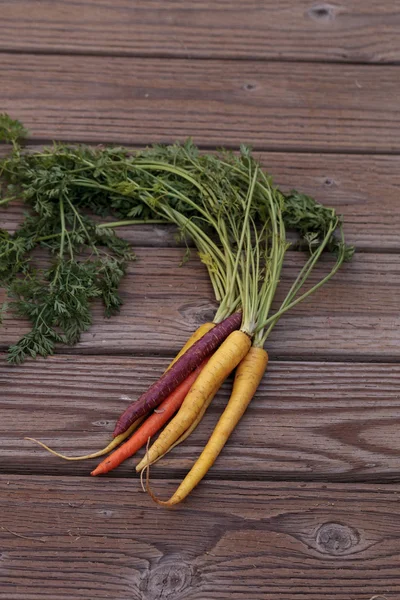 Manojo de coloridas zanahorias orgánicas rojas, amarillas y anaranjadas —  Fotos de Stock