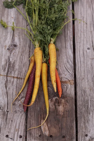 Куча разноцветной красной, желтой и оранжевой органической моркови — стоковое фото