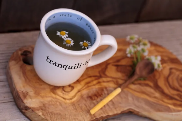 Thé à la camomille aux fleurs de marguerite à la camomille — Photo