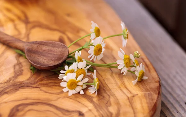 Chamomile tea with chamomile daisy flowers — Stock Photo, Image