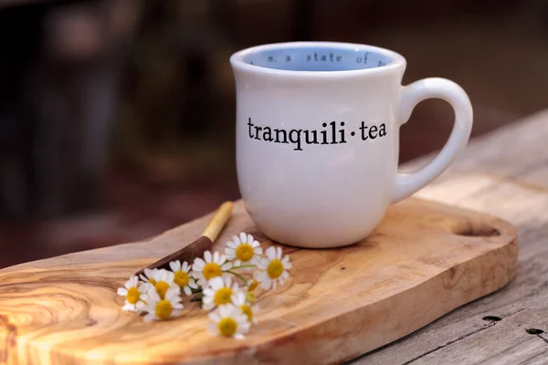 Thé à la camomille aux fleurs de marguerite à la camomille — Photo