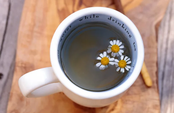 Thé à la camomille aux fleurs de marguerite à la camomille — Photo