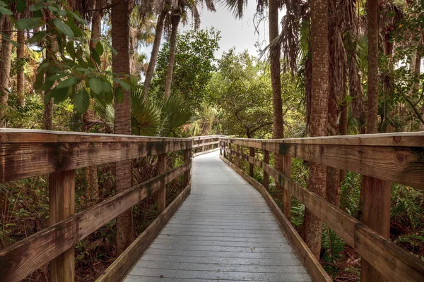 Fort Myers Florida Usa Listopadu 2020 Promenáda Která Rozprostírá Přes — Stock fotografie