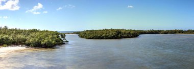 Bonita Springs, Florida 'daki mangrov adalarıyla Estero Körfezi Panoramisi