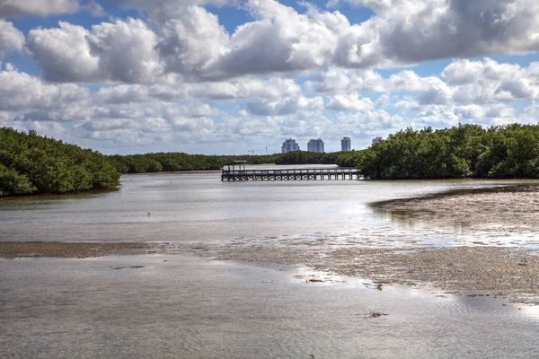 Angelpier Über Waterway Lovers Key State Park Umgeben Von Mangroven — Stockfoto