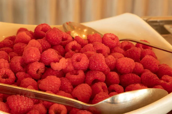 Red Bowl Organic Raspberries Lineup Healthy Breakfast Foods Grocery Store — Stock Photo, Image