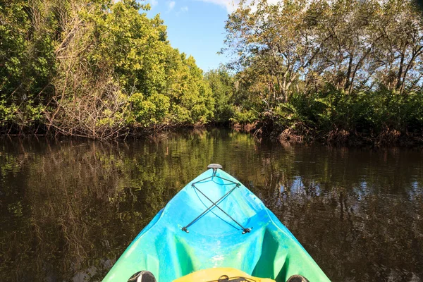 Kayak Στον Ποταμό Orange Στο Fort Myers Φλόριντα Χειμώνα — Φωτογραφία Αρχείου