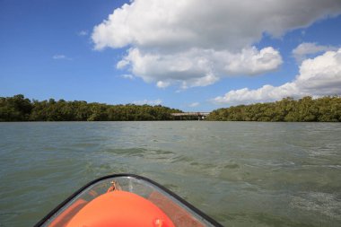 Napoli, Florida 'da açık bir kano manzarasından İstiridye Geçidi' nin üzerinde yürüyen bir köprü..