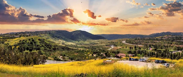 Aliso Viejo Wilderness Park manzaralı. Sarı kır çiçekleri ve yeşil yuvarlanan tepeler. Aliso Viejo, Kaliforniya, ABD 'deki tepeden.