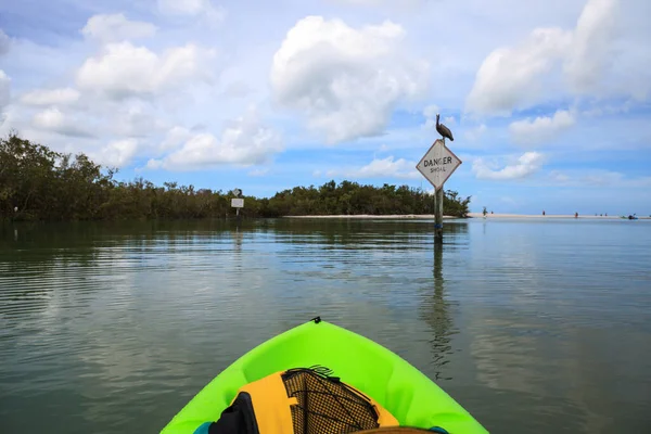 Grand Pélican Pelecanus Occidentalis Sur Panneau Danger Devant Kayak Dans — Photo