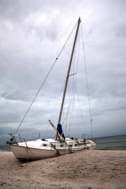 Napoli, Florida 'daki Midye Geçidi kıyısında bir gemi enkazı üzerinde gri gökyüzü