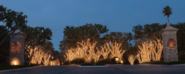 Luces blancas de vacaciones en árboles — Foto de Stock