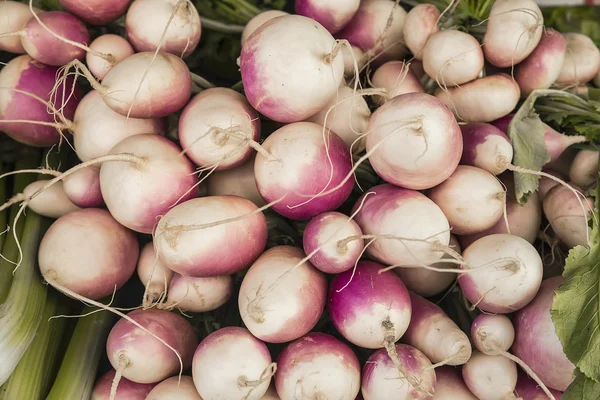 bunch of radishes