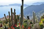 Kaktuszok, és kilátást nyújt a francia Riviéra