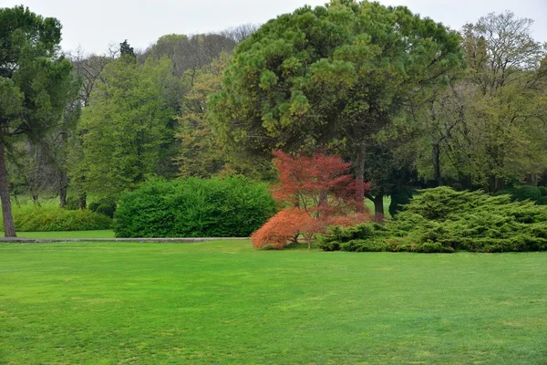 Park in het voorjaar van — Stockfoto