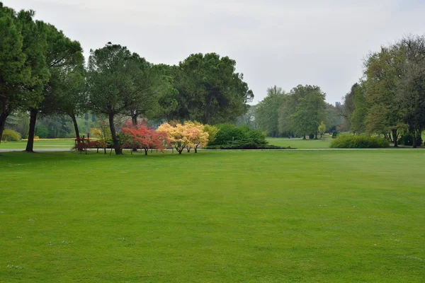 Park na jaře — Stock fotografie